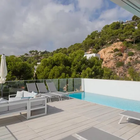 Celimar 帕拉弗鲁赫尔