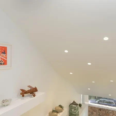 Celimar * 帕拉弗鲁赫尔